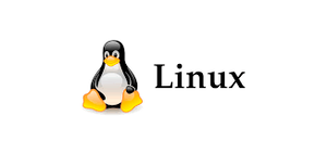 Установка Linux Установка Linux
