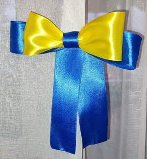 Жовто-блакитний бант