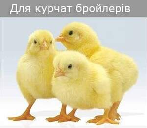 Комбікорм ПК  2-6(віком від 1 до 8 тижнів) Мішок 10 кг.