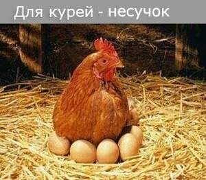 Комбікорм ПК  1-25	(віком від 48 тижнів) Мішок 10 кг.