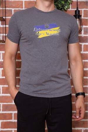 ЧОЛОВІЧА ФУТБОЛКА З ПАТРІОТИЧНИМ ПРИНТОМ КОЛІР СІРИЙ