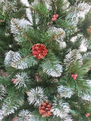 Кармен,калина