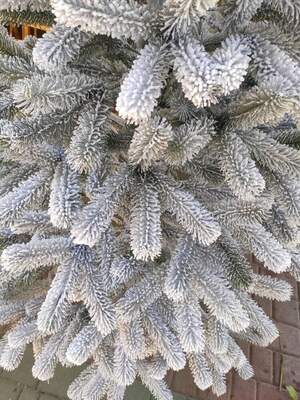 Лита засніжена Буковельська на металевій підставці