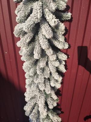 Лита елітна засніжена