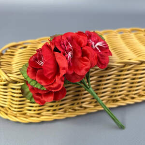 Азалия, букет 6 цветков - красный Азалия, букет 6 цветков - красный