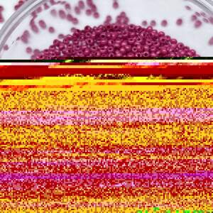 Бисер чешский Preciosa 10/0, цвет 16198 - 5 г