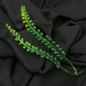 Добавка двойная пластиковая Пастушья сумка, зеленая с желтым, 15 см Добавка двойная пластиковая Пастушья сумка, зеленая с желтым, 15 см