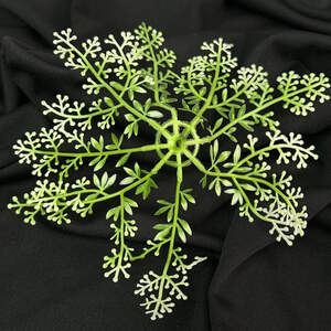 Розетка (подставка под цветы), зеленая с белым, 17 см