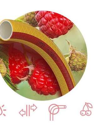Шланг Патриот FruitBerry 1/2 20м