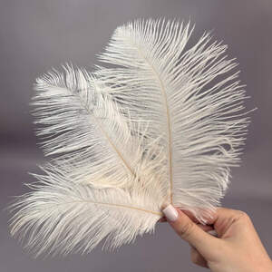 5шт - Перья страуса для рукоделия 13-18 см - белый теплый