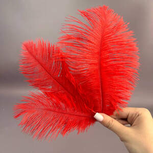 5шт - Перья страуса для рукоделия 13-18 см - красный