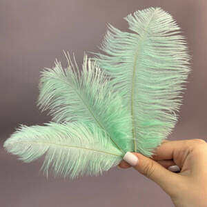 5шт - Перья страуса для рукоделия 13-18 см - мятный