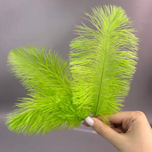 5шт - Перья страуса для рукоделия 13-18 см - салатовый