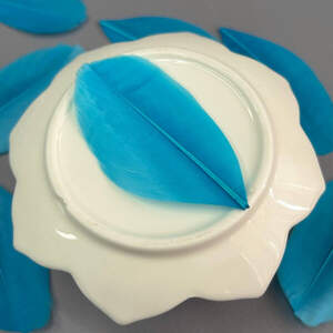 Перья гусиные для рукоделия 5-7 см, 50шт - лазурный