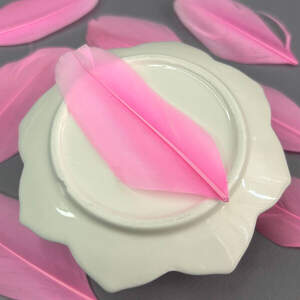 Перья гусиные для рукоделия 5-7 см, 50шт - розовый