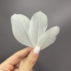 Перья гусиные для рукоделия 5-7 см, 50шт - теплый белый