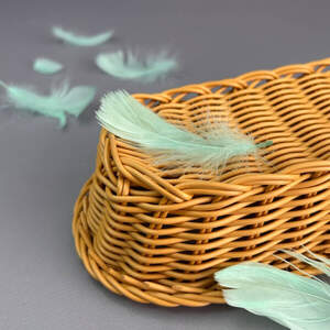 Перья гусиные для рукоделия 9-13 см, 95шт - мятный