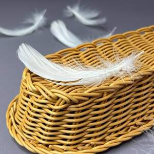 Перья гусиные для рукоделия 9-13 см, 95шт - теплый белый