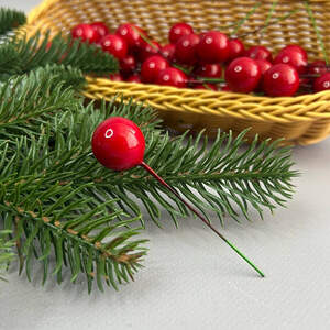 Калина лаковая Ø20 мм, для декора - красный