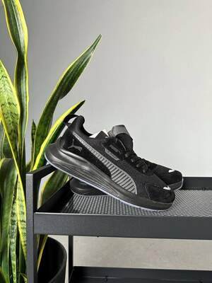 Puma X-Ray 2
