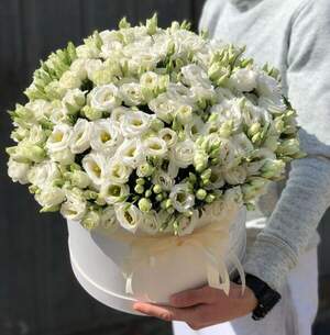 Композиція 