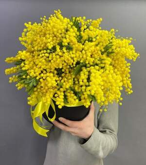 Композиція 