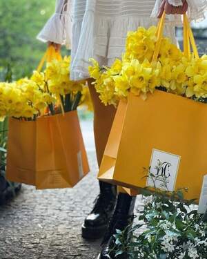 Нарциси жовті під стрічку 