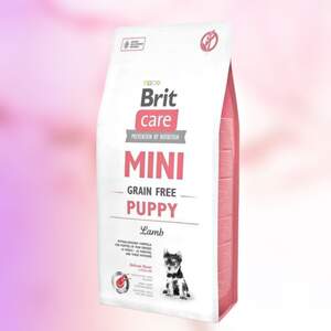 Корм Brit