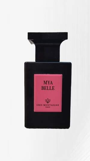 Gris Montaigne Paris Mya Belle