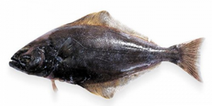 Палтус чорний дикий Палтус чорний дикий