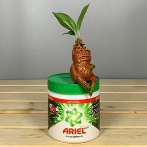 Засіб для видалення плям Ariel White гранули - 500 г.