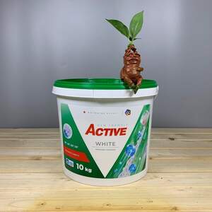 Сипучий порошок у відрі Active White - 10 кг. 130 прань.