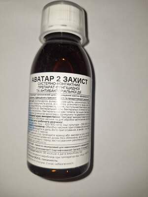 Аватар -2 захисит