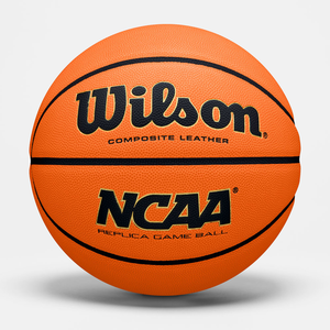 М'яч Wilson NCAA EVO Replica
