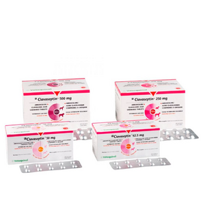 Клавасептін (аналог Сінулокс) 250 мг №10 табл.