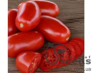 Томат «Класік» F1 25 000 с. Нунемс (Nunhems)