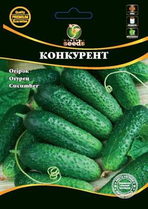 Огірок Огірок