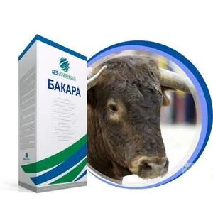 Насіння буряка цукрового 