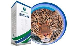 Насіння буряка цукрового 