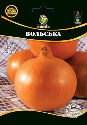 Насіння Лука Насіння Лука