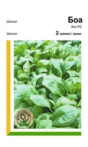 Шпинат ранній Шпинат ранній