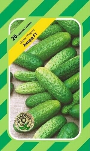 Огірок «Акорд» F1 20 насінин, А Бейо (Bejo)