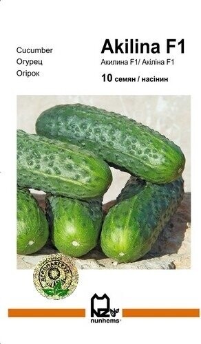 Огірок «Акіліна» F1 10 насінин, А Нунемс (Nunhems)