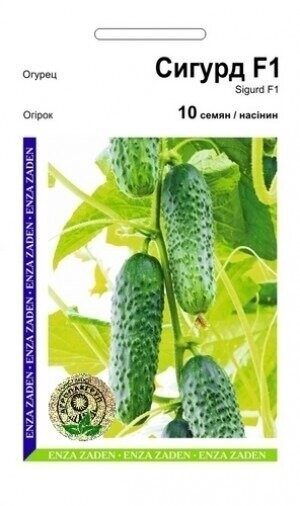 Огірок «Сігурд» F1 10 насінин, А Enza Zaden Огірок «Сігурд» F1 10 насінин, А Enza Zaden