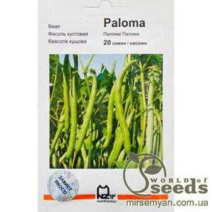 Квасоля Квасоля