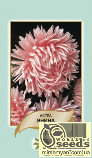 Астра Астра