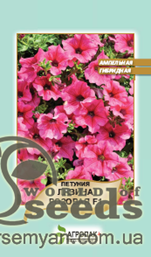 Петунія гібридна ампельна крупноквіткова Петунія гібридна ампельна крупноквіткова