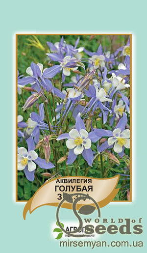 Насіння аквілегії гібридної Насіння аквілегії гібридної