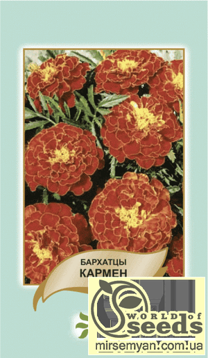 Насіння чорнобривців відхилене Насіння чорнобривців відхилене