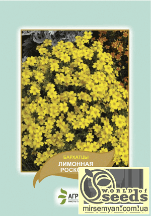 Насіння чорнобривців відхилене Насіння чорнобривців відхилене